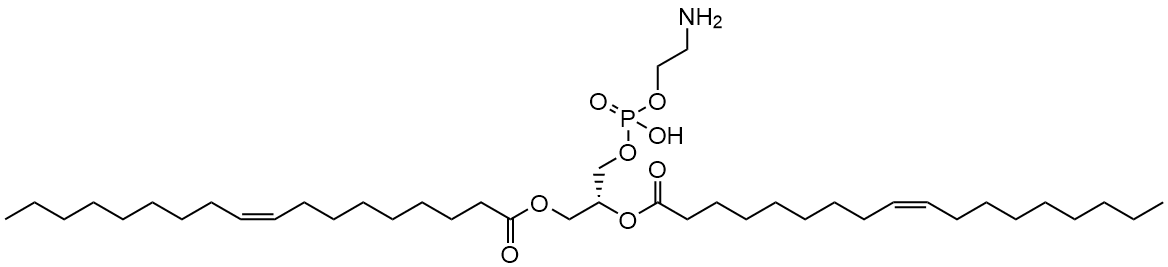 CAS 4004-05-1 DOPE - BOC Sciences