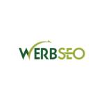 werbseo Profile Picture