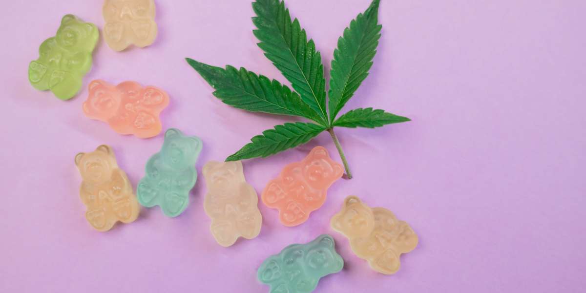 Thinking About Paul Mccartney Cbd Gummies United Kingdom? 10 Reasons Why It's Time To Stop!