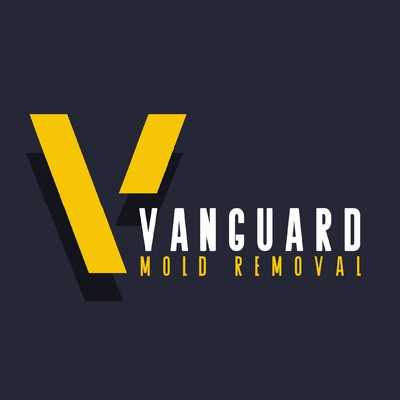 Vanguard Mold Removal Profile Picture