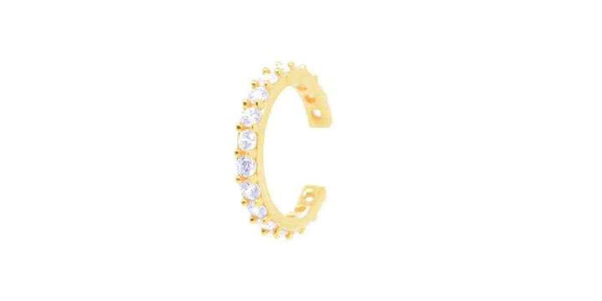 Shop surgical steel segment ring online