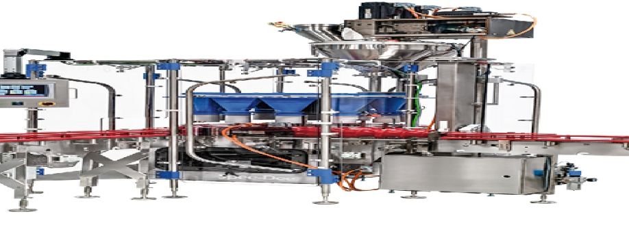 SpeeDee Packaging Machinery Inc Cover Image