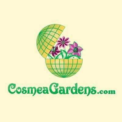 cosmeagardens4 Profile Picture