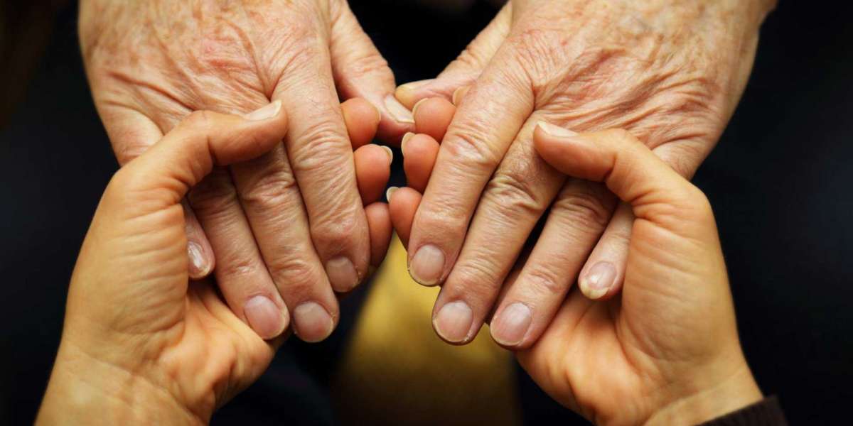 Elderly Care Market to Register Unwavering Growth During 2028