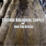 Cascade Biological Supply Profile Picture