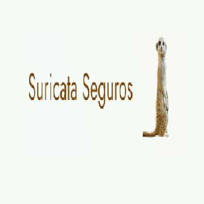 Suricata Seguros Profile Picture