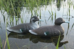 Best Pintail Decoys | Pintail Duck Decoys | Deeksdecoys.com