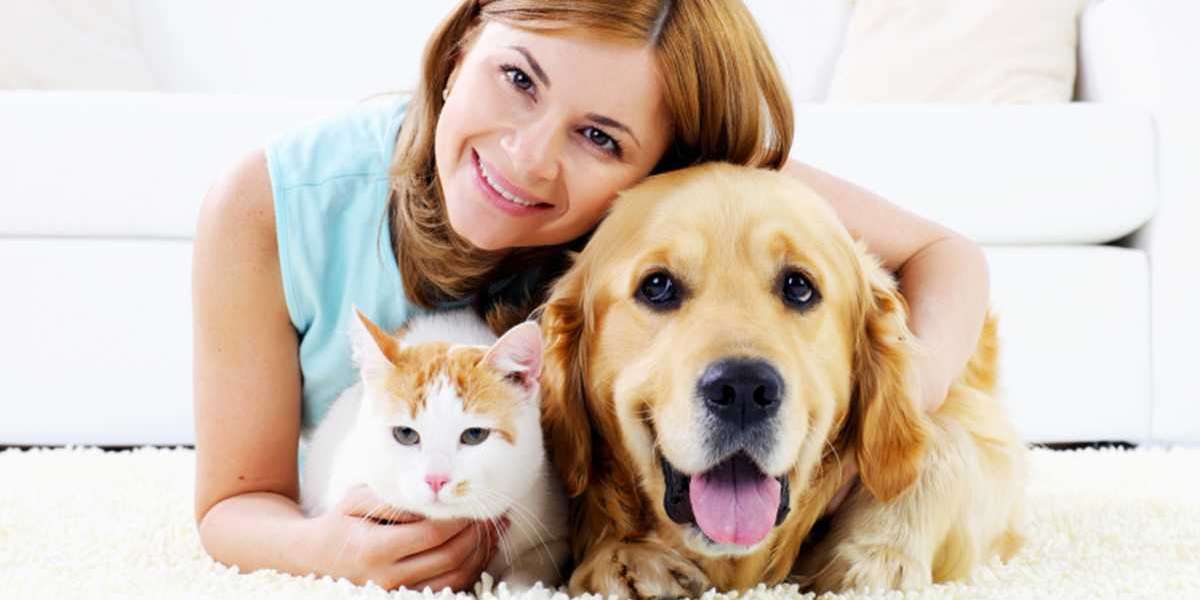 BookMyPet.com: The Ultimate Marketplace for All Your Pet Needs in Dubai