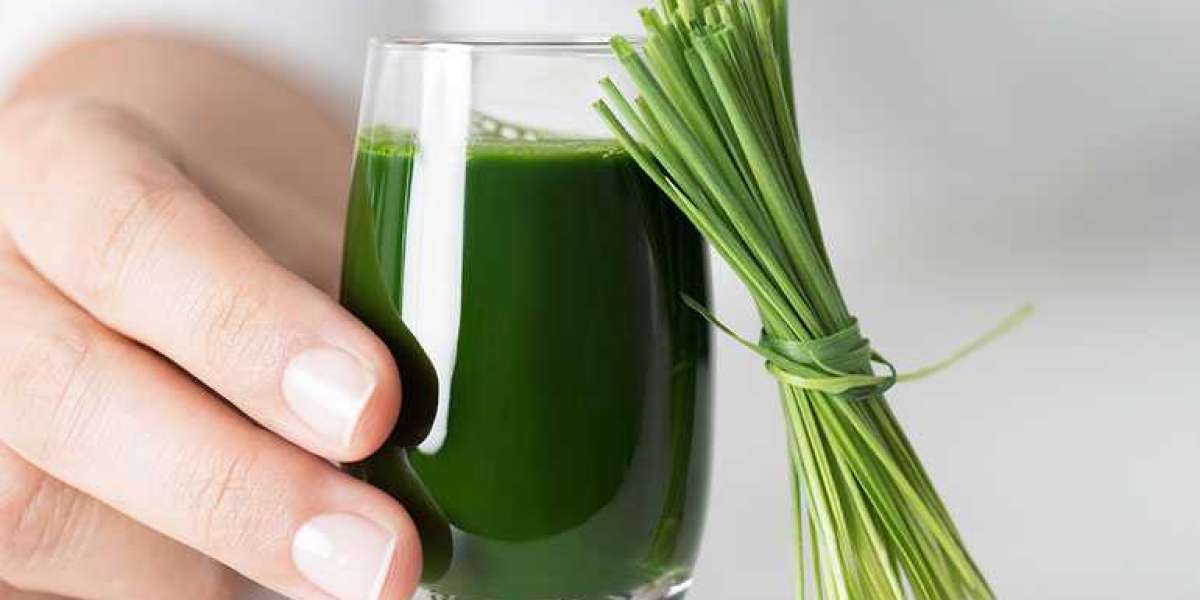 The Advantages Of Green Juice For Men's Health