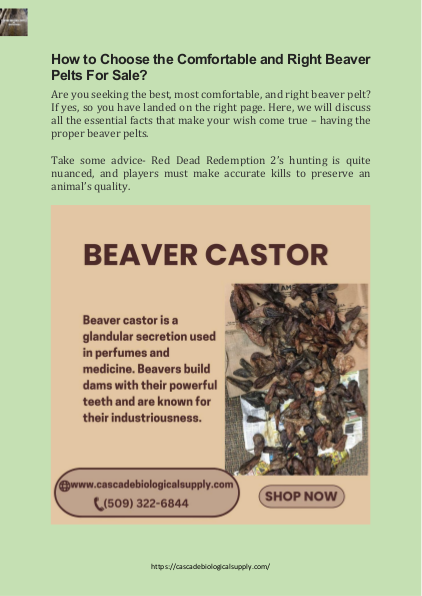 How to Choose the Comfortable and Right Beaver Pelts For Sale? | edocr