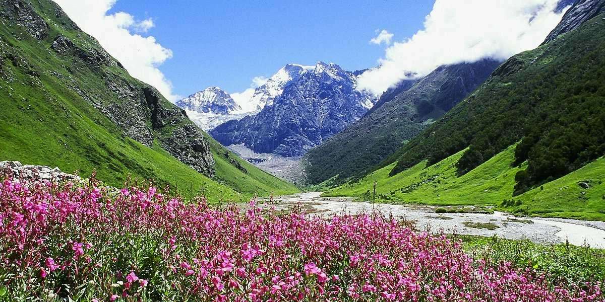 VALLEY OF FLOWERS: A MAGICAL LAND OF FLOWERS AND LEGENDS