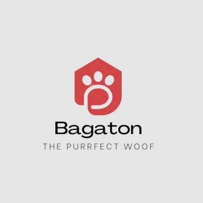 BagaTon Profile Picture