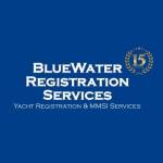 BlueWater Registration Services BV profile picture