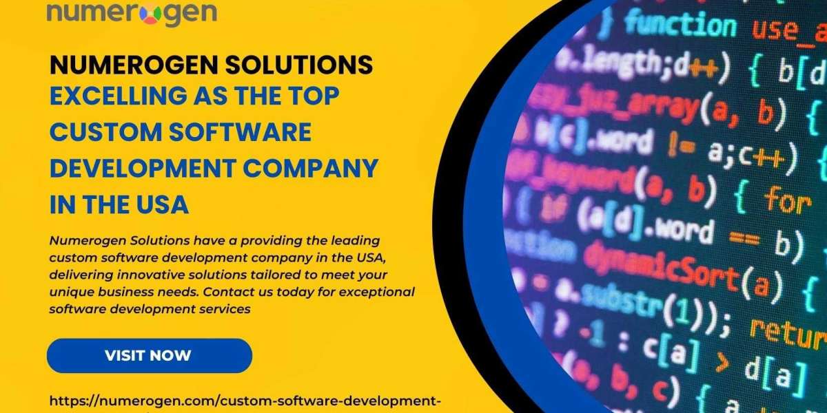 Hire the Web & Custom Software Development Company In USA