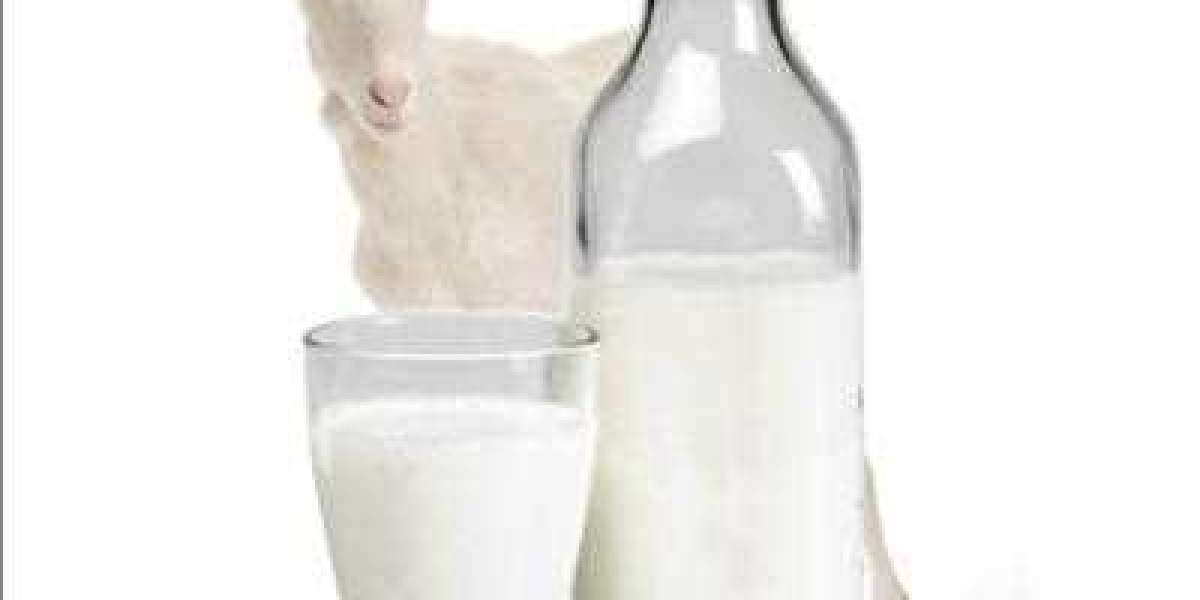 Global Goat Milk Market Size, Growth, Trends, And Forecasts 2022-2028