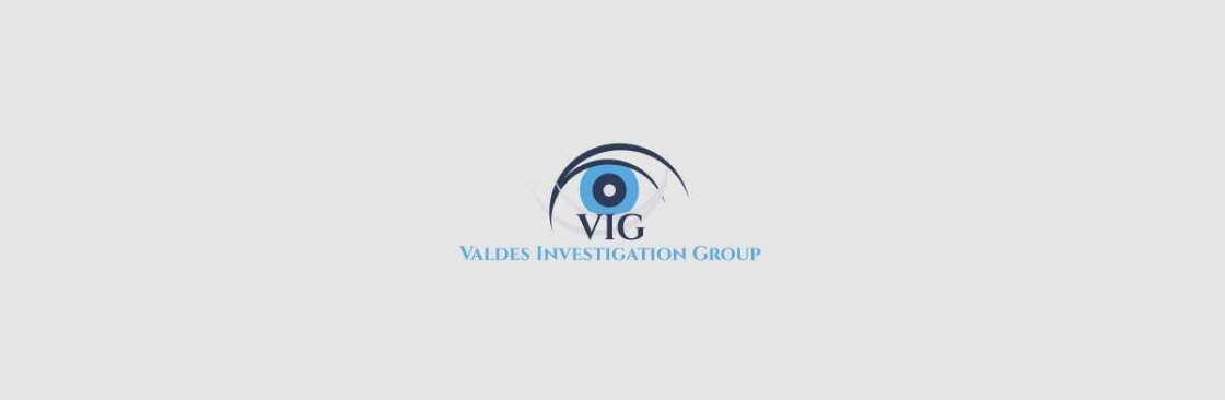 Valdes Investigation Group Cover Image