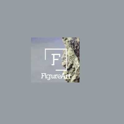 FigureArt Store Profile Picture