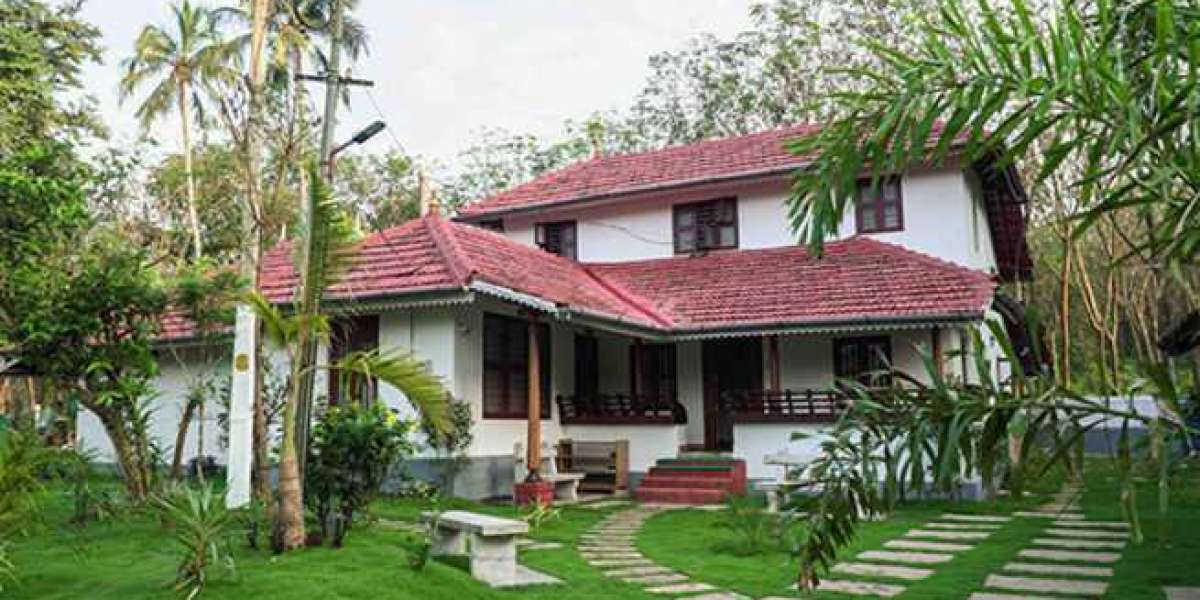 What is Homestay and Why Stay in One?