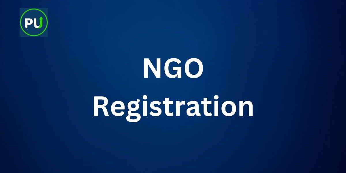 NGO Registration: Understanding the Documentation and Paperwork Involved