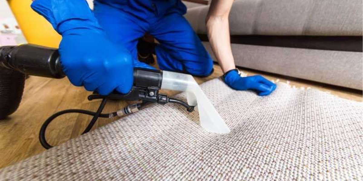 Benefits of Low Cost Carpet Cleaning from Gold Coast Clean Master