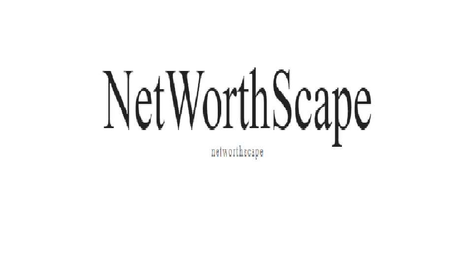 networthscape Profile Picture