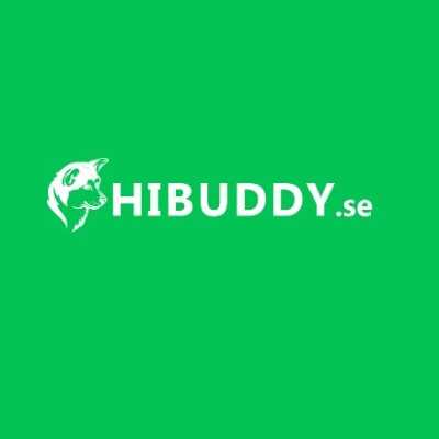 Hi Buddy Sweden AB Profile Picture