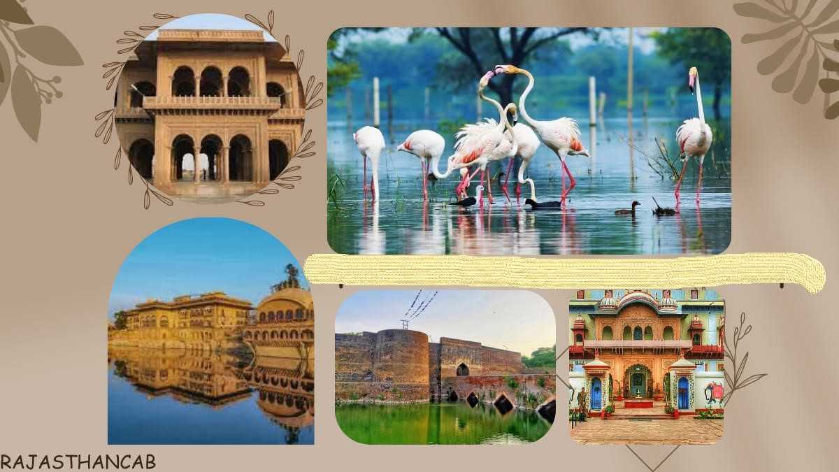 Jaipur Tour Package from Chandigarh 