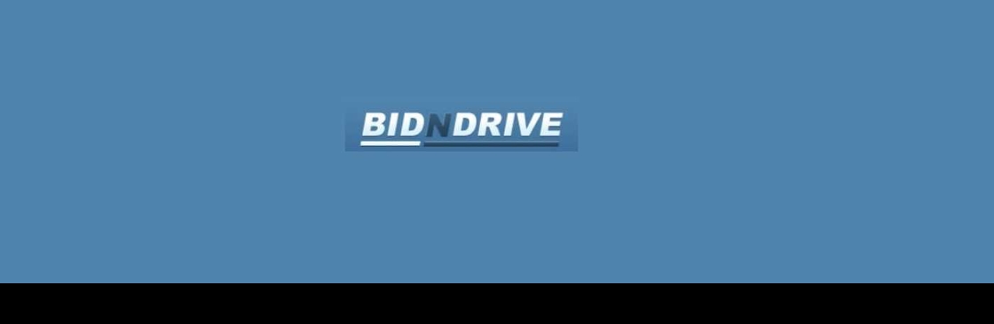 Bidn drive Cover Image