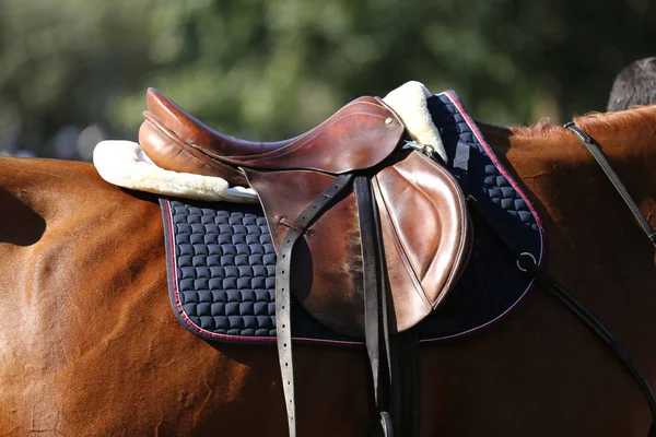 Saddle ForSale Profile Picture