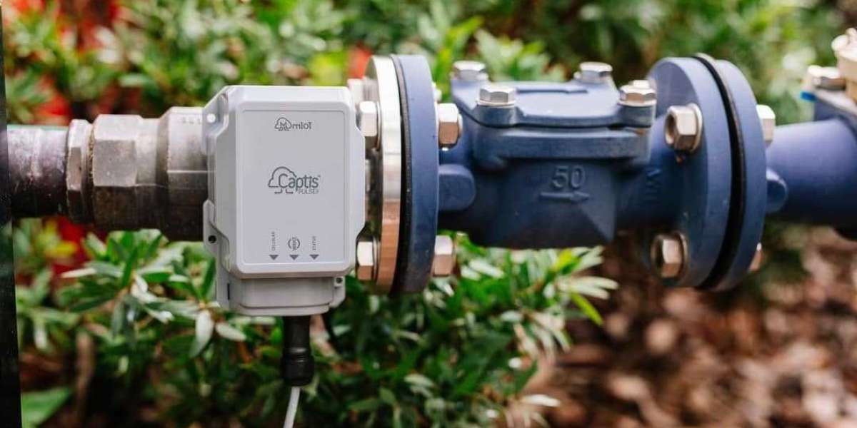 Wireless Water Meter