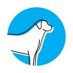 pawsome dogcare Profile Picture