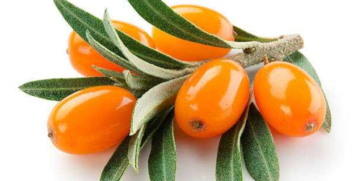 Sea Buckthorn Pulp: Health Benefits, Best place to Buy Online