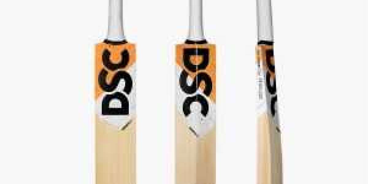 Cricket Goods Online: Elevating Your Game with Convenience and Choice