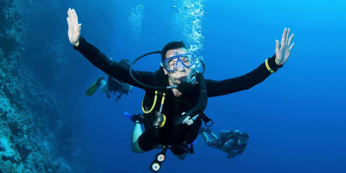 Understanding the Types of Diving Courses Available