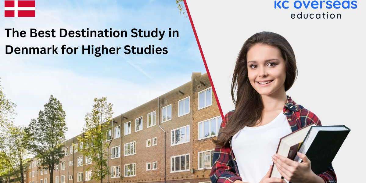 The Best Destination Study in Denmark for Higher Studies