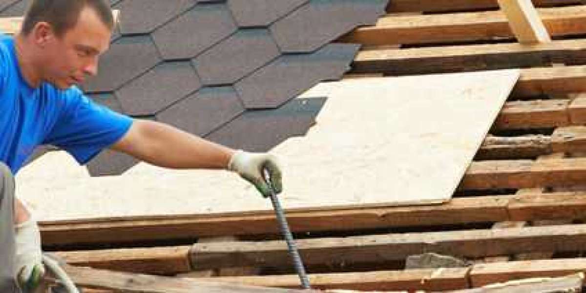 Trust Lavazza Roofing: Your Top Choice for Siding Repair Services