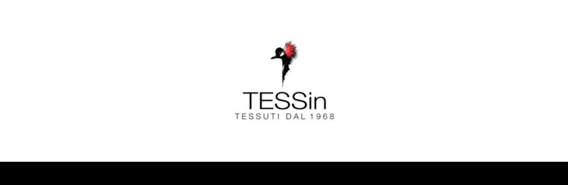 TESSin Cover Image