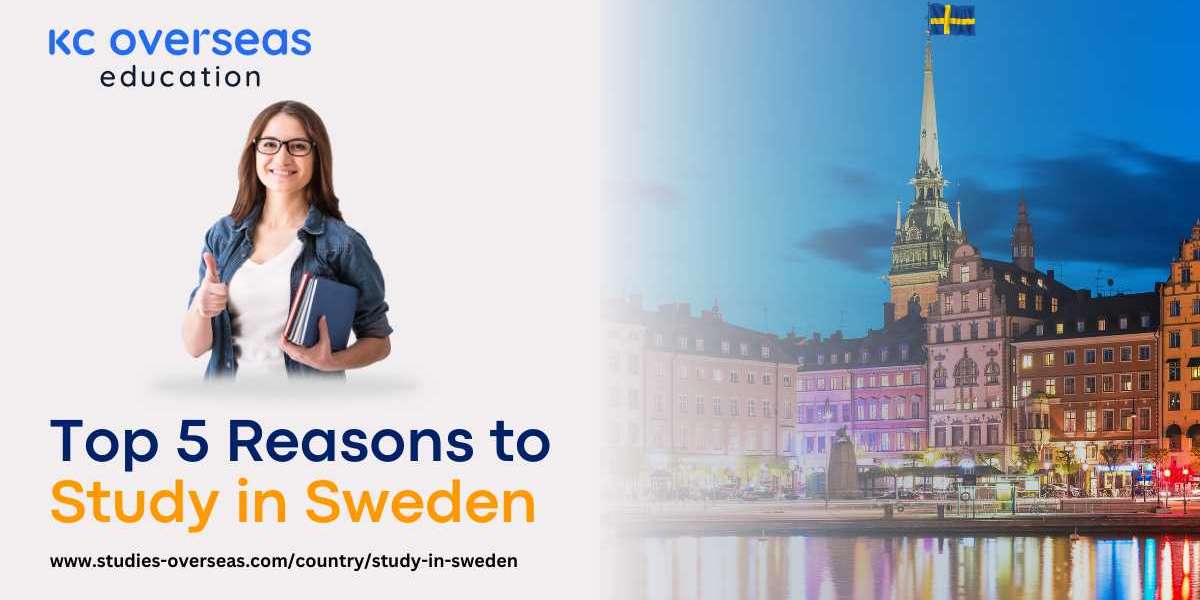 Top 5 Incredible Reasons to Study in Sweden