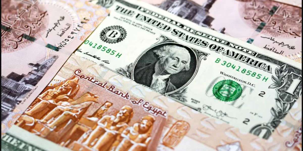 سعر الدولار في مصر