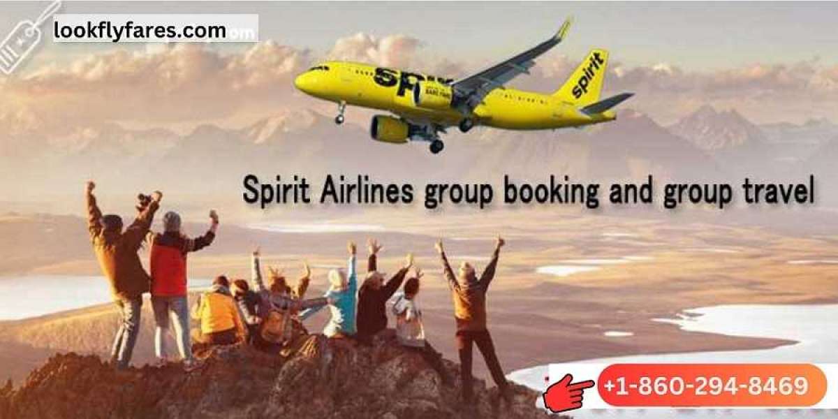 How to Contact Spirit Airlines for Group Travel Booking?