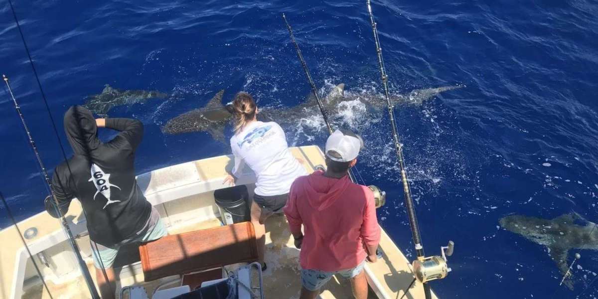 Oahu Fishing Charters at Haleiwa, Hawaii