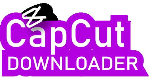 Capcut Downloader Profile Picture