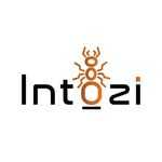 intozi Profile Picture