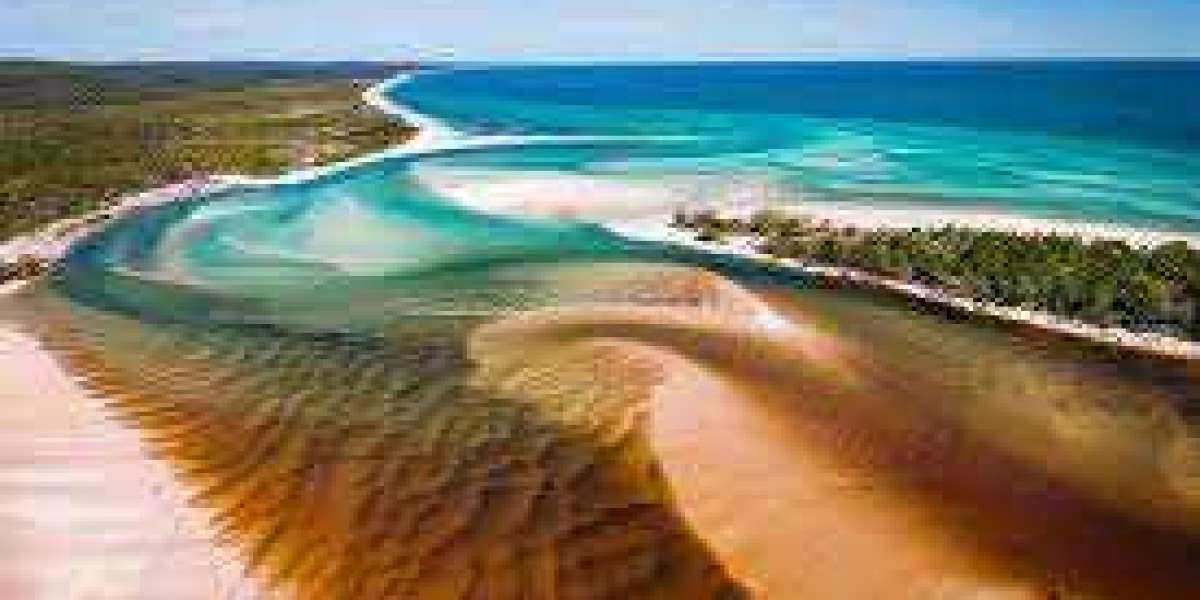 Escape to Paradise: Unveiling Fraser Island Tours from Brisbane