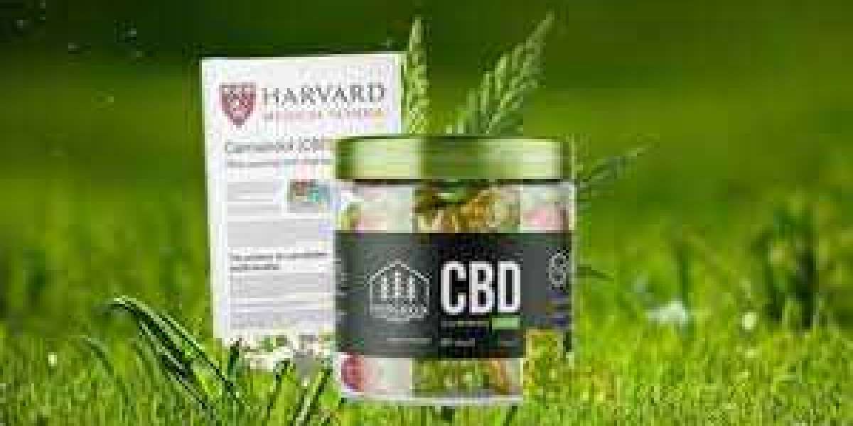 8 Effective Evergreen CBD Gummies Elevator Pitches