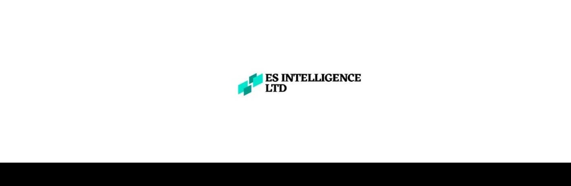 Es Intelligence Limited Cover Image