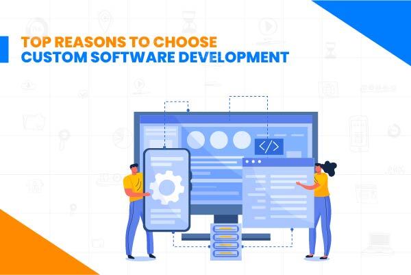 Why Should You Choose Custom Software Development For Your Business?