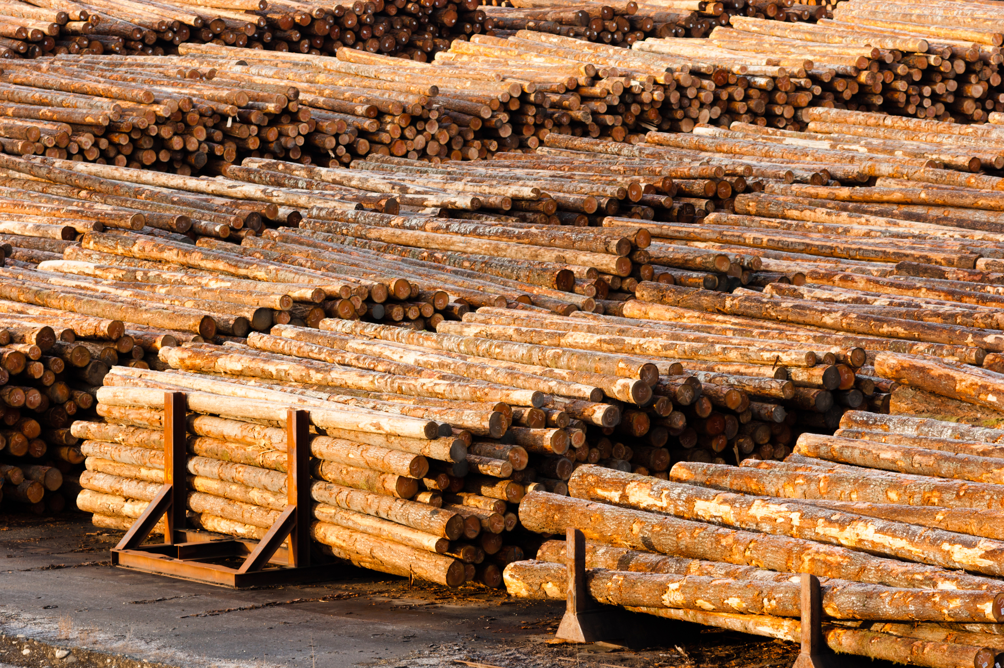 The Richness Of Hardwood Lumber In Houston: Unveiling Quality And Versatility - Daily Webjournal