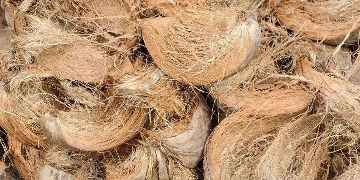 Unlocking the Potential: Plantbest's Guide to Using Coconut Husk for Plants