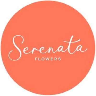 Serenata Flowers Profile Picture